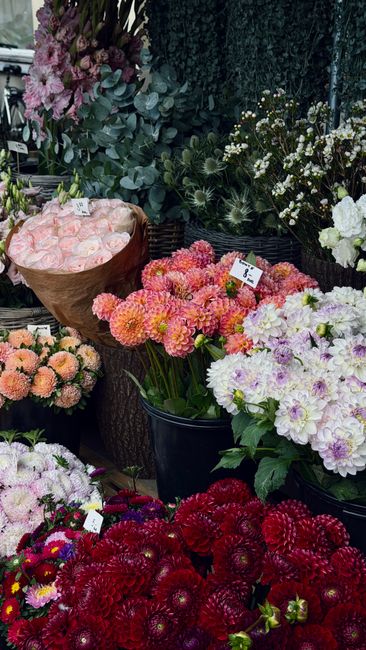 A vibrant display of fresh flowers arranged in black plastic pots and a paper-wrapped bouquet at a flower stall, showcasing a variety of blooms including pink, peach, white, and deep red chrysanthemum